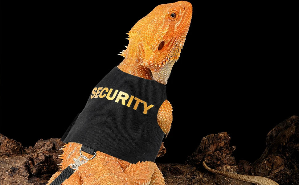 Bearded Dragon Harness Leash Set, Lizard Clothe Costume Adjustable Reptile Harness with 5ft Leash for Bearded Dragon