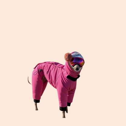 Winter Warm Rose Pink Coat for Female Italian Greyhound Waterproof Windproof High-Neck Jacket for Whippet in Cold Weather
