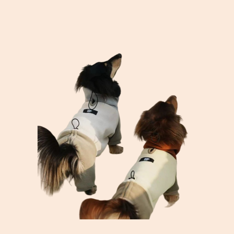 Fashion Thickened 4-legged Dachshund Dog Clothes Winter Soft Waxy Heating Antistatic Double-sided Fleece Dachshund Cotton Home