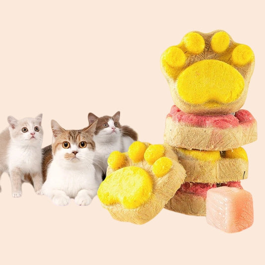 10/20/50Pcs Cat Snacks Cat Biscuit Freeze-Dried Cat Claw Biscuits Dog Snacks Nutrition Fattening Snack Cat Training Reward Snack