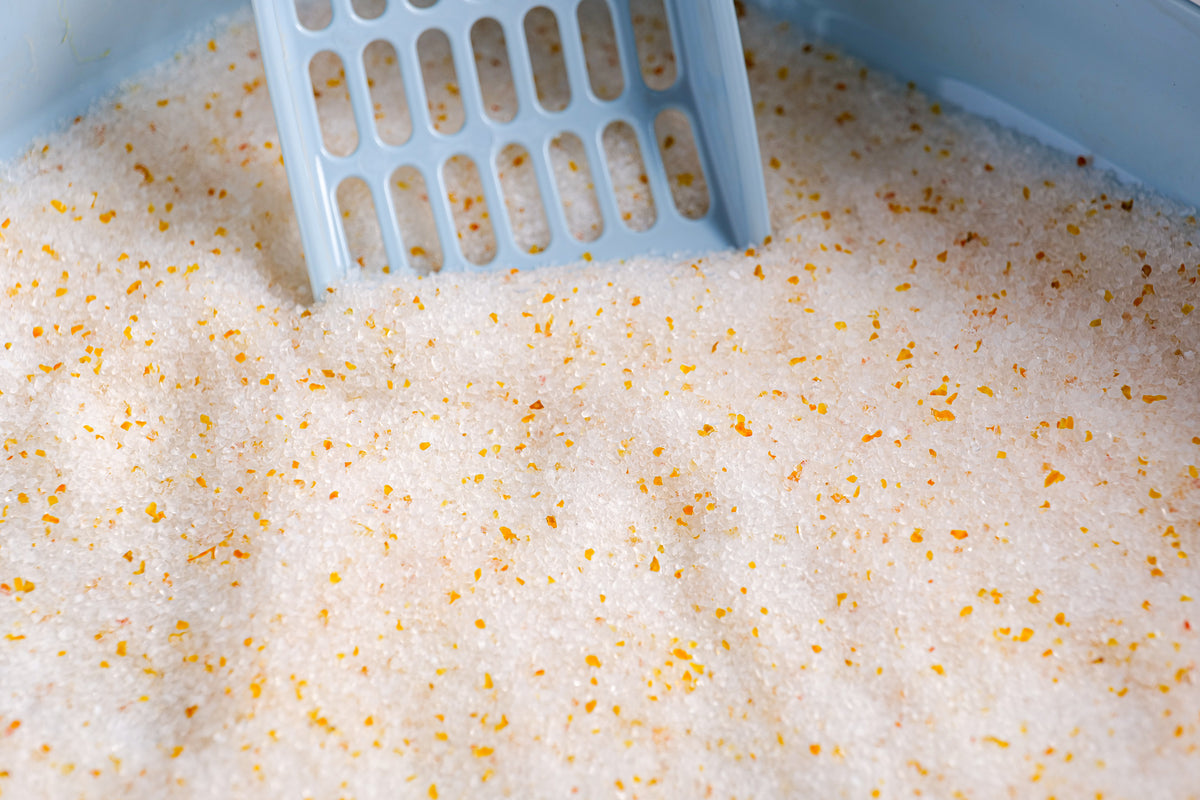 Crystal Cat Litter Samples