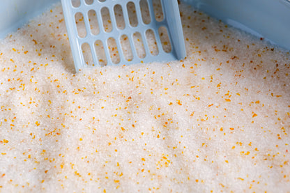 Crystal Cat Litter Samples