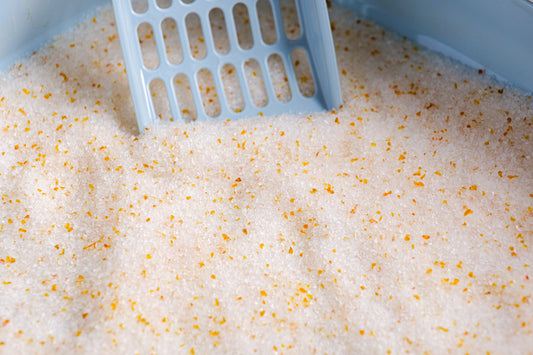 Crystal Cat Litter Samples