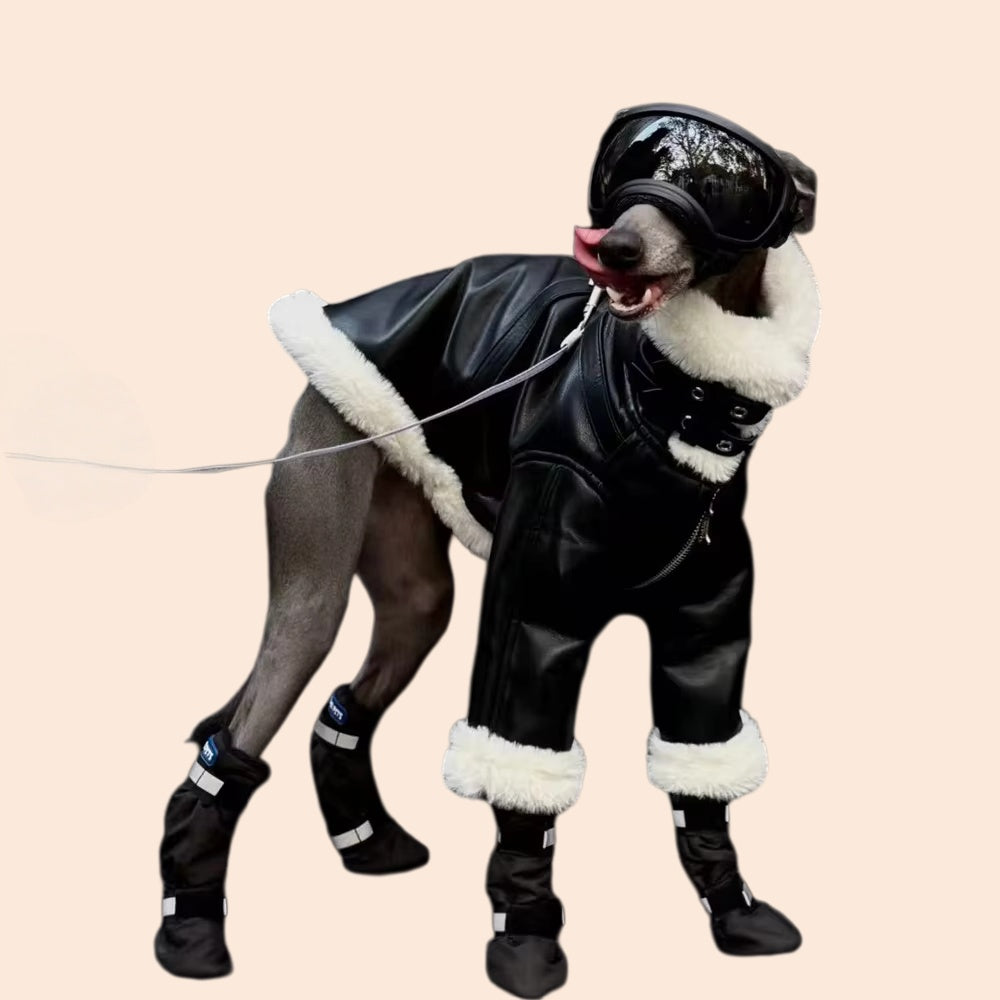 Luxury Leather Whippet Dog Clothes in Winter 4-legged Plush Jacket Windproof Coat Warm Clothing for Italian Greyhound