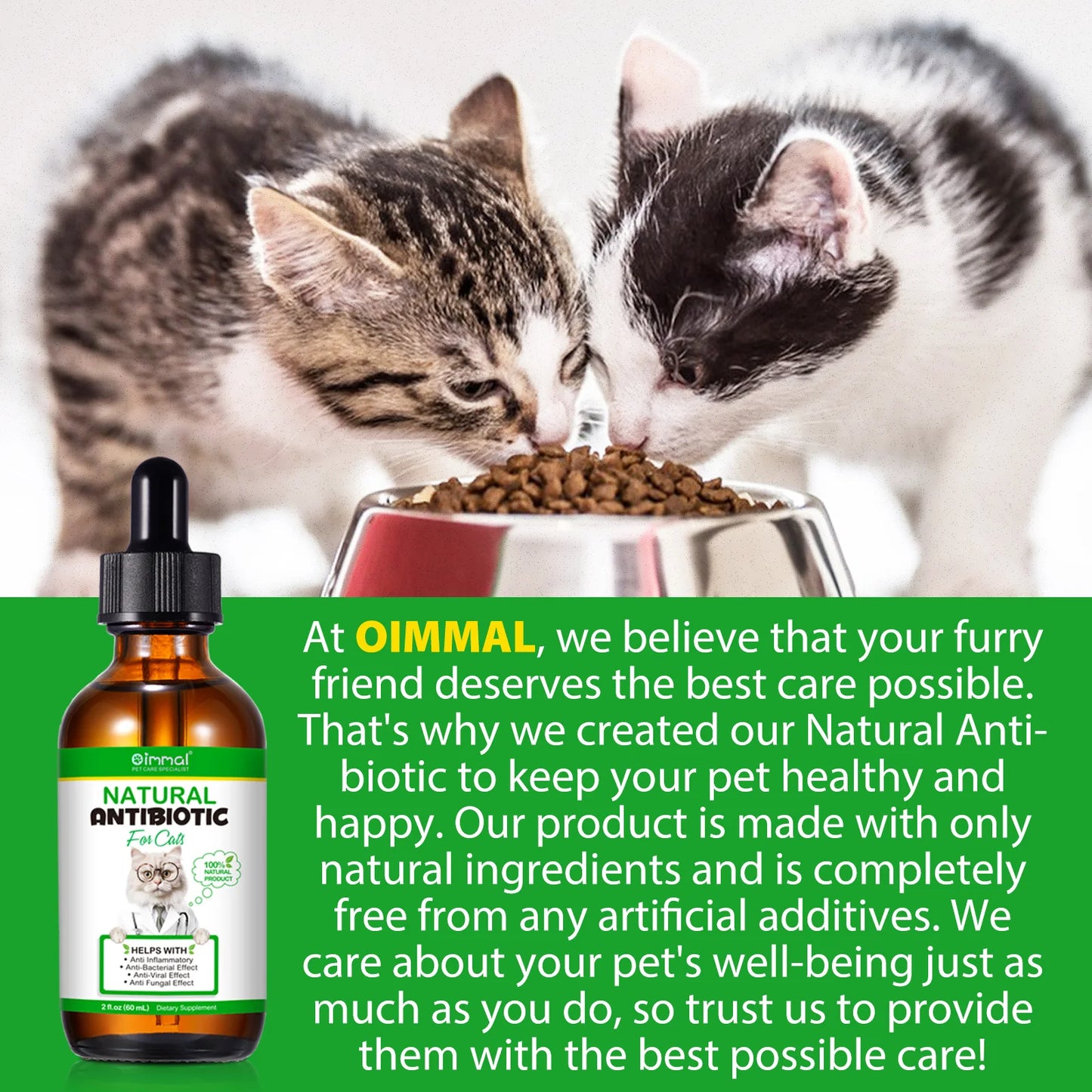 Natural Antibiotic for Cats Helps with Anti Inflammatory Anti-Bacterial Effect Anti-Viral Effect Anti Fungal Effect Supplement