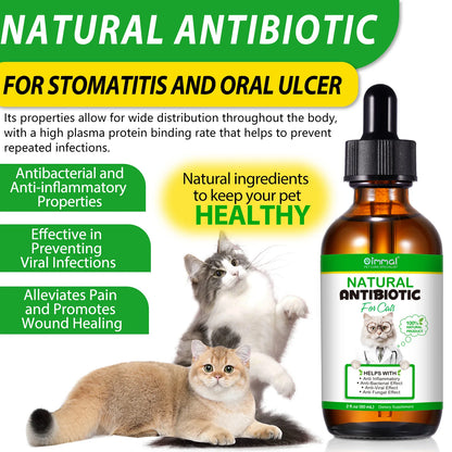Natural Antibiotic for Cats Helps with Anti Inflammatory Anti-Bacterial Effect Anti-Viral Effect Anti Fungal Effect Supplement