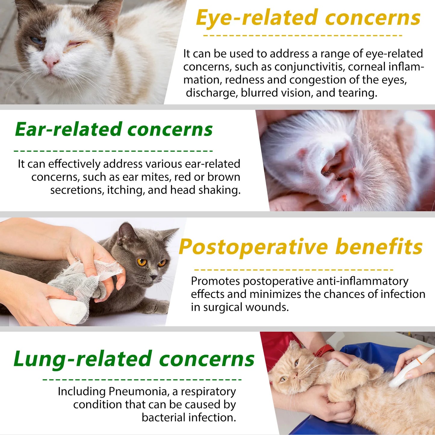 Natural Antibiotic for Cats Helps with Anti Inflammatory Anti-Bacterial Effect Anti-Viral Effect Anti Fungal Effect Supplement