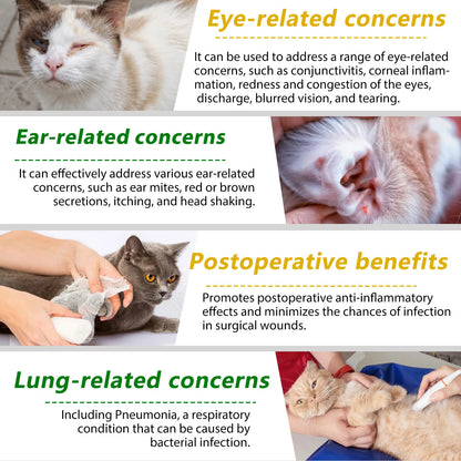 Natural Antibiotic for Cats Helps with Anti Inflammatory Anti-Bacterial Effect Anti-Viral Effect Anti Fungal Effect Supplement