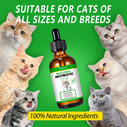 Natural Antibiotic for Cats Helps with Anti Inflammatory Anti-Bacterial Effect Anti-Viral Effect Anti Fungal Effect Supplement