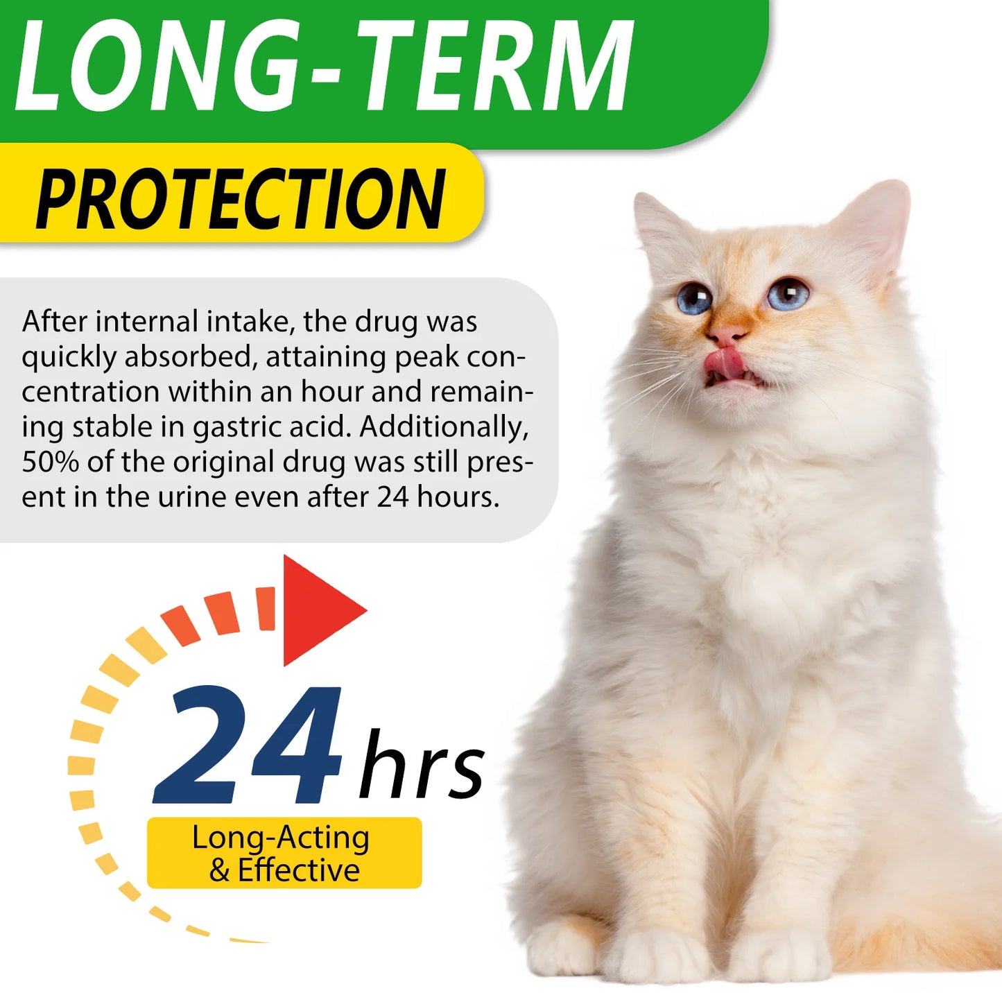Natural Antibiotic for Cats Helps with Anti Inflammatory Anti-Bacterial Effect Anti-Viral Effect Anti Fungal Effect Supplement
