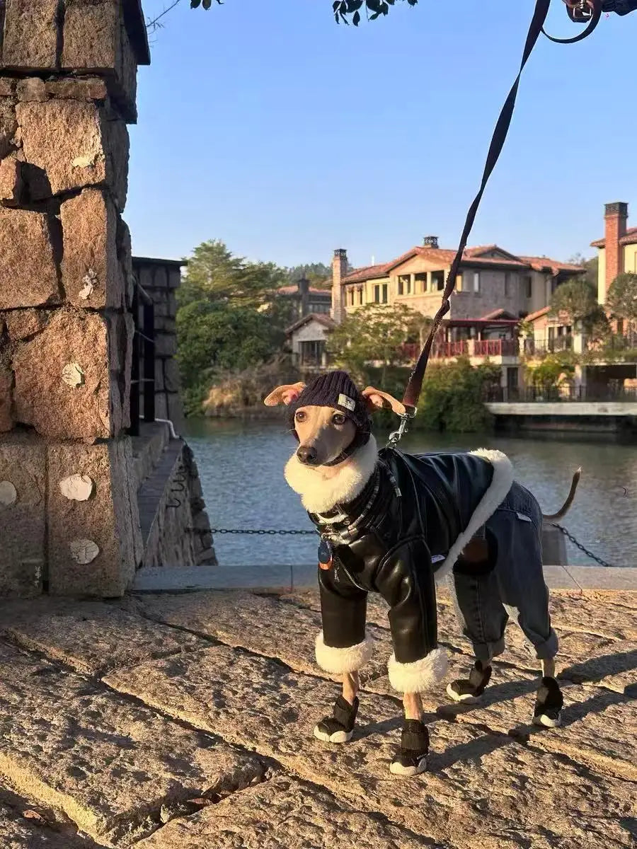 Luxury Leather Whippet Dog Clothes in Winter 4-legged Plush Jacket Windproof Coat Warm Clothing for Italian Greyhound