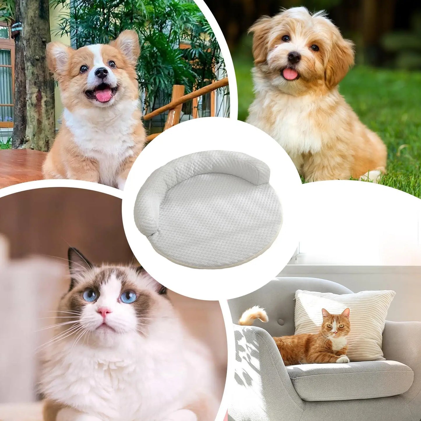 1pcs New Product Summer Pet Cool Pad Dog Kennel Summer Iced Bean Breathable Cool Pet Mat Round Cat Cushion Dog Bed Supplies