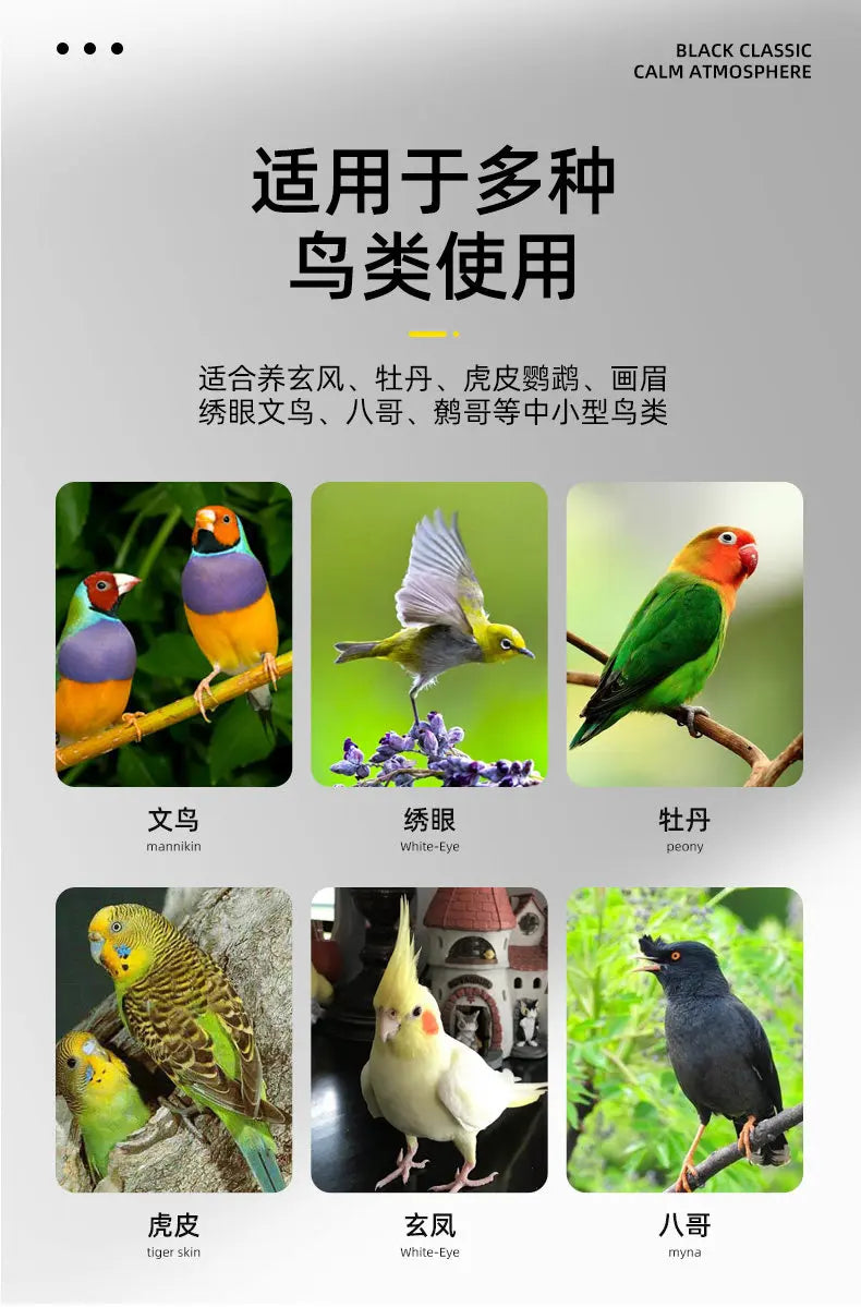 Large Square Stainless Steel Bird Cage for Myna Starling Parrot Villa Metal Cage