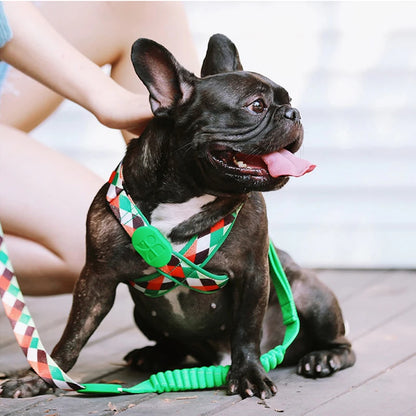 Premium Explorer Harness Y-Shaped Dog HarnessAdjustable Durable Nylon Soft Padding Metal Buckles and Leather Handle for Pets