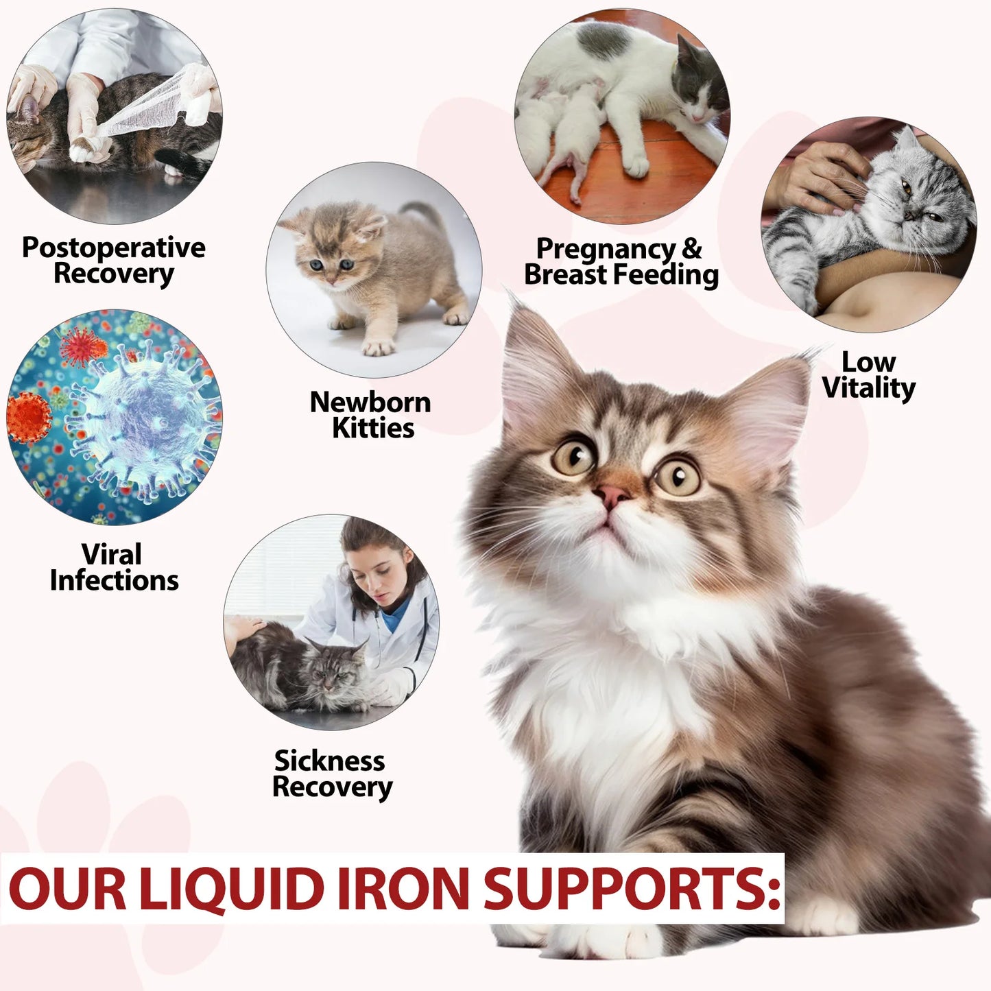 Liquid Iron Caramel Flavor Treatment for Cats Helps with Iron Levels Deficiency Formation of Red Blood Cell Oxygen in Hemoglobin