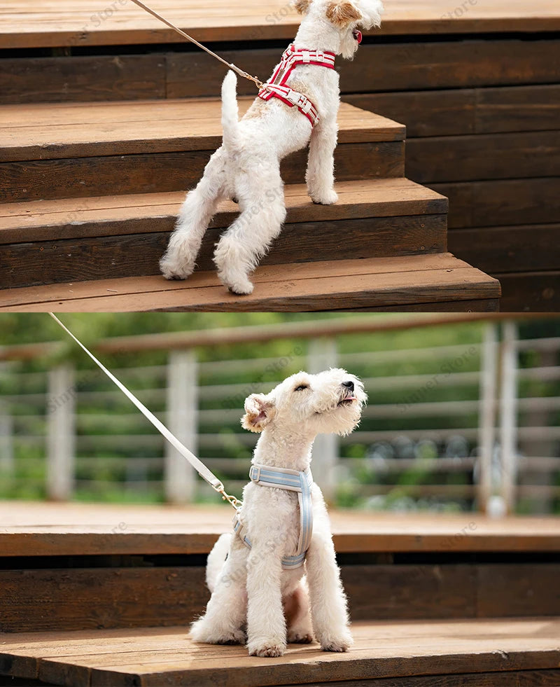 Adjustable Dog Vest Harness Breathable No Pull Harness for Small, Medium Large Dogs Harness for Walking Jogging Easy Step-in