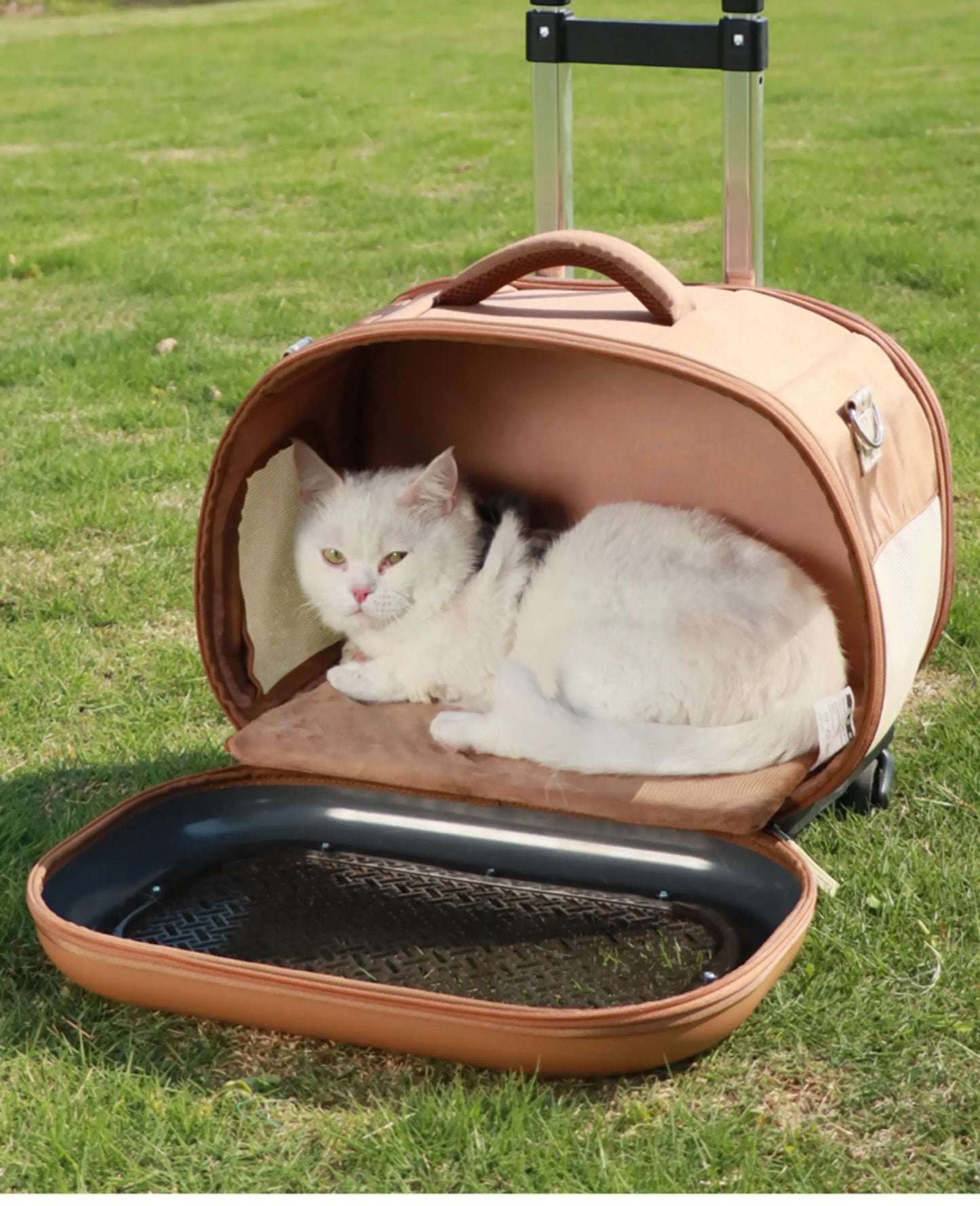 Cat bag, portable outdoor cat box, one shoulder crossbody, small cat space cabin, large capacity cat carrying bag, pet suitcase