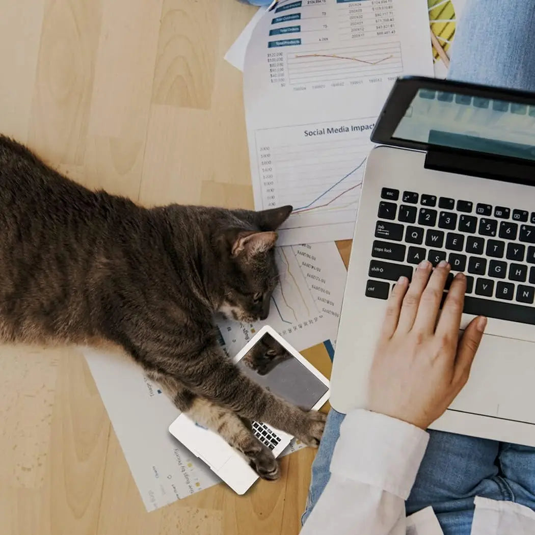 Mini Dollhouse Toy Cat Laptop Tiny Fake Computer Mirror for Cat (sliver) Interactive Cat Toy Creative Product For Kitten