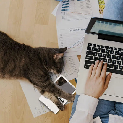 Mini Dollhouse Toy Cat Laptop Tiny Fake Computer Mirror for Cat (sliver) Interactive Cat Toy Creative Product For Kitten