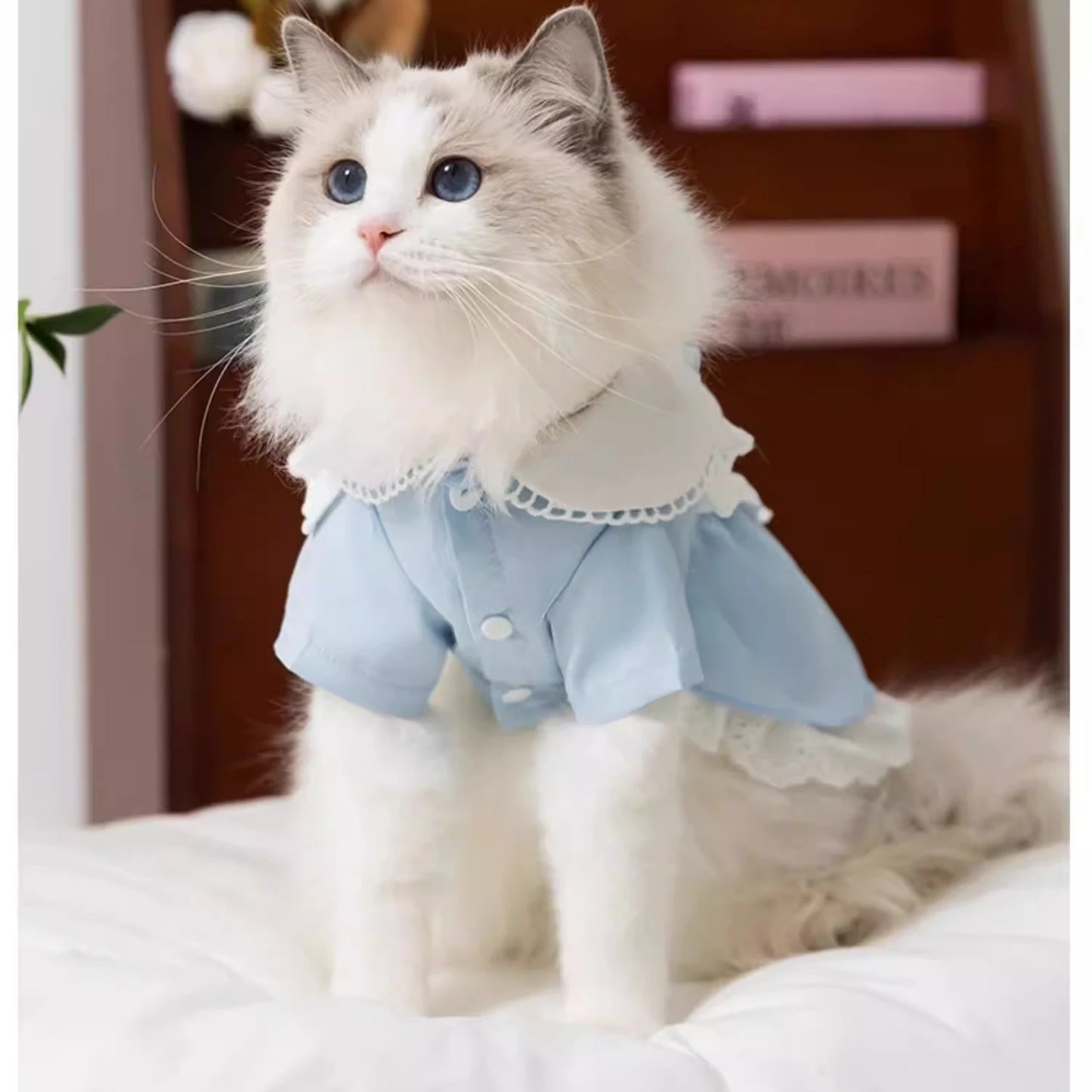 Blue Maid Skirt Kitten Dress Thin Breathable Pet British Short Silver Summer Clothes Cat Dress