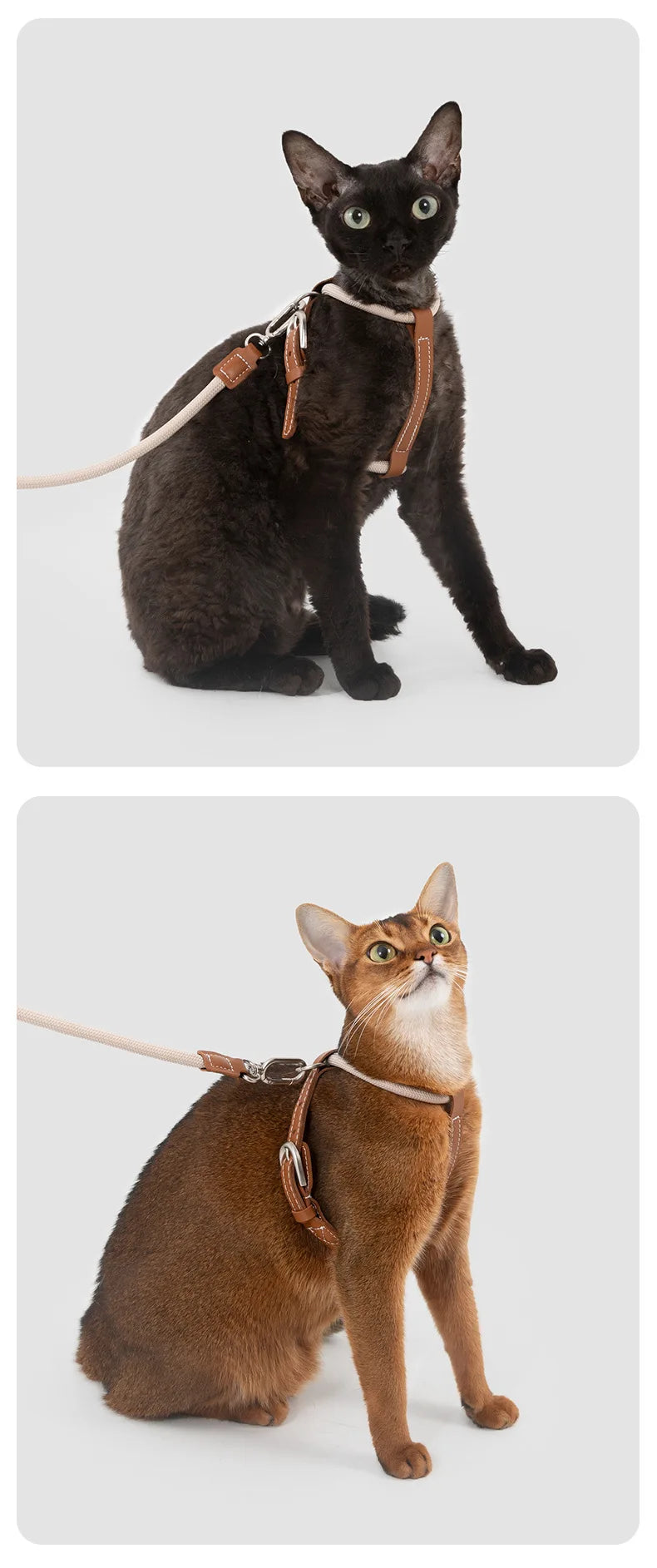 Adjustable X-Shape Cat Harness & Leash Set, Lightweight Escape Proof Cat Walking Harness,Leather 4-Gear Adjustment for 6kg Cats