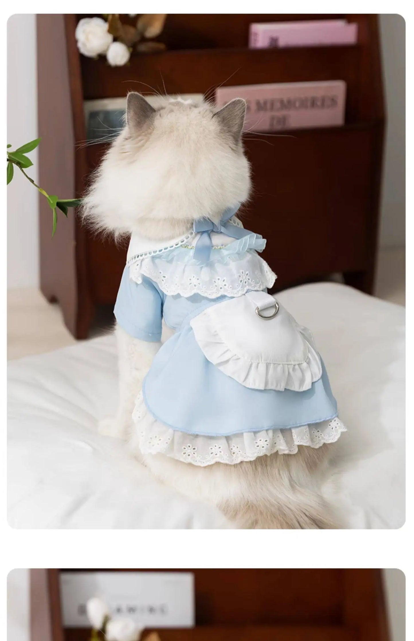 Blue Maid Skirt Kitten Dress Thin Breathable Pet British Short Silver Summer Clothes Cat Dress
