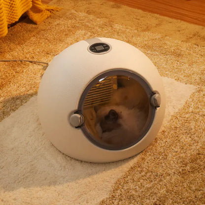 Pet drying box Automatic cat dryer Household small dog cat bath blowing water artifact，Cat, dog,pet dogs dryer,cat dog supplies