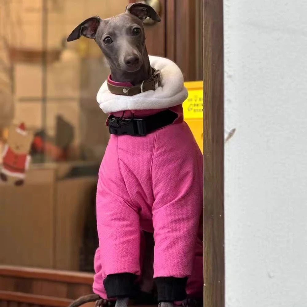 Winter Warm Rose Pink Coat for Female Italian Greyhound Waterproof Windproof High-Neck Jacket for Whippet in Cold Weather