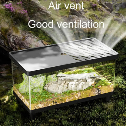 Multifunctional Transparent Reptile Terrarium Visual Breathable Lizard Breeding Box with Cover Reptile Habitat Landscaping