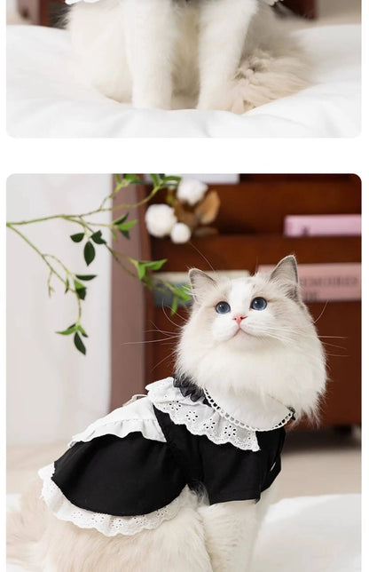 Blue Maid Skirt Kitten Dress Thin Breathable Pet British Short Silver Summer Clothes Cat Dress
