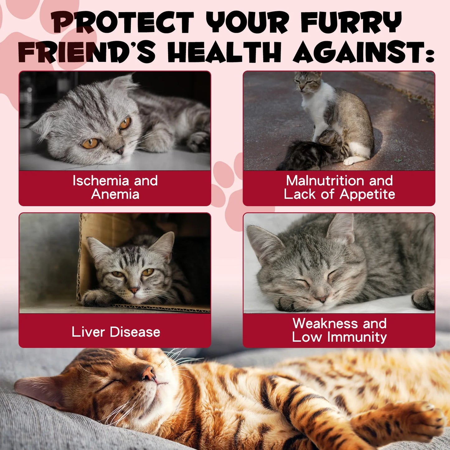 Liquid Iron Caramel Flavor Treatment for Cats Helps with Iron Levels Deficiency Formation of Red Blood Cell Oxygen in Hemoglobin