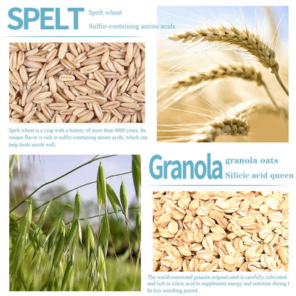Bulk bird food parrot feed oil sunflower bird feed parrot food bird food bird food feed