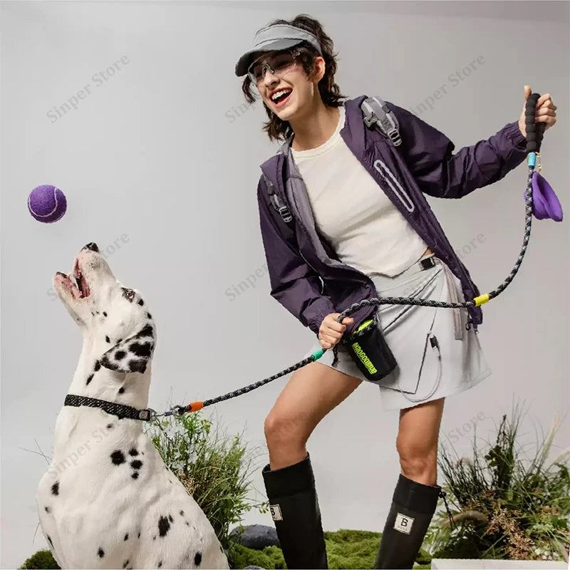 Cute Small Dog Collar Harness Leash Set Adjustable Dog Collars and Leashes Bowtie Breathable Soft Mesh Padded Dog Vest