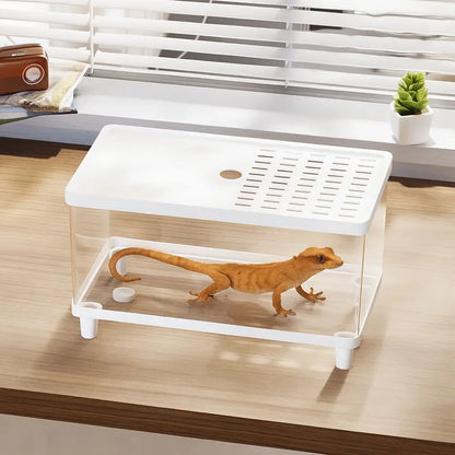 Multifunctional Transparent Reptile Terrarium Visual Breathable Lizard Breeding Box with Cover Reptile Habitat Landscaping