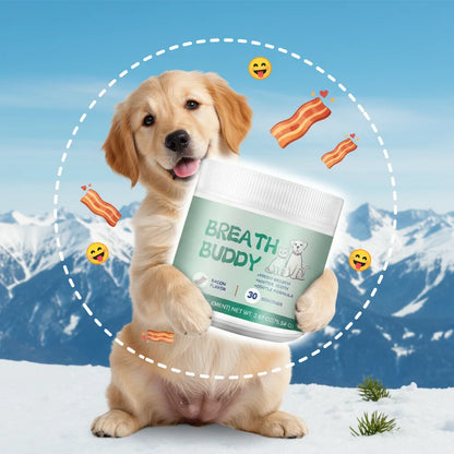 Bacon Taste Pet Mushroom Powder Natural High-Grade Ingredient Appetite Enhancer For Daily Nutrition Of Cats And Dog