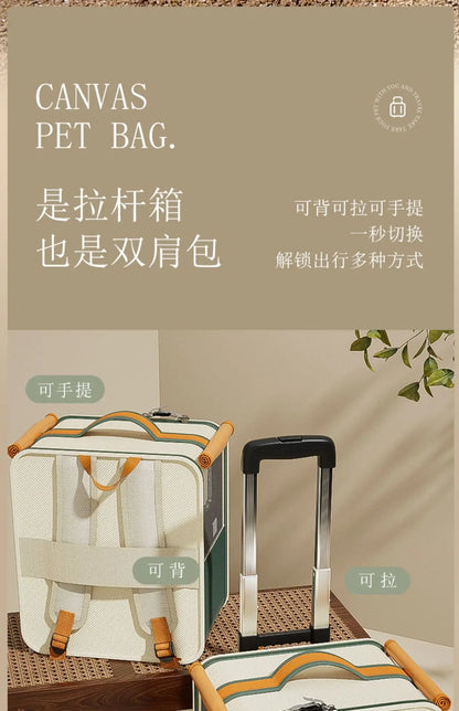 Cat bag out large capacity suitcase multi-cat pet portable cat multi-function wheel trolley case transparent backpack