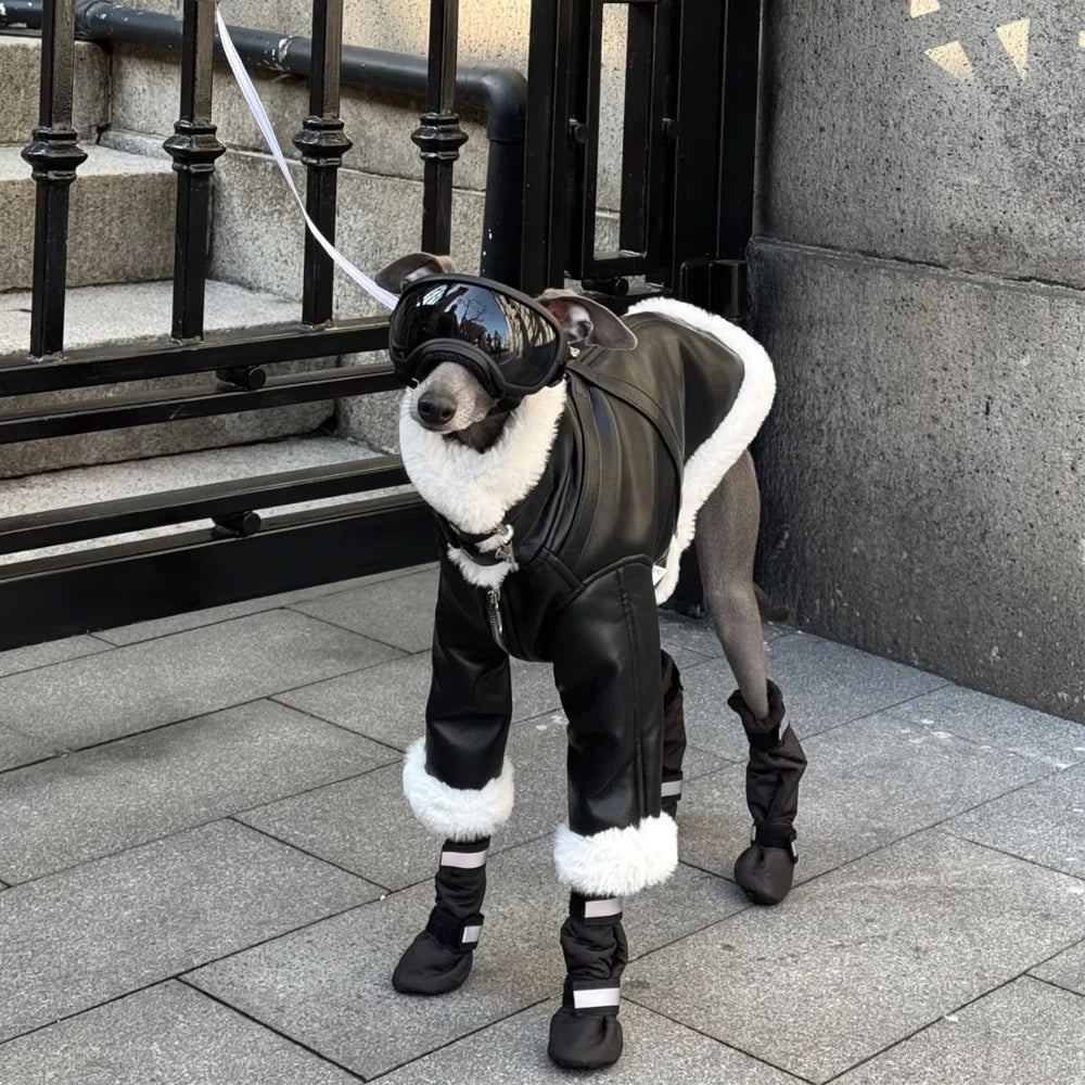 Luxury Leather Whippet Dog Clothes in Winter 4-legged Plush Jacket Windproof Coat Warm Clothing for Italian Greyhound