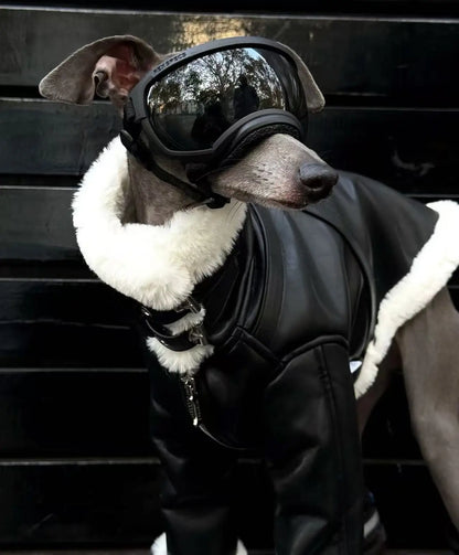 Luxury Leather Whippet Dog Clothes in Winter 4-legged Plush Jacket Windproof Coat Warm Clothing for Italian Greyhound
