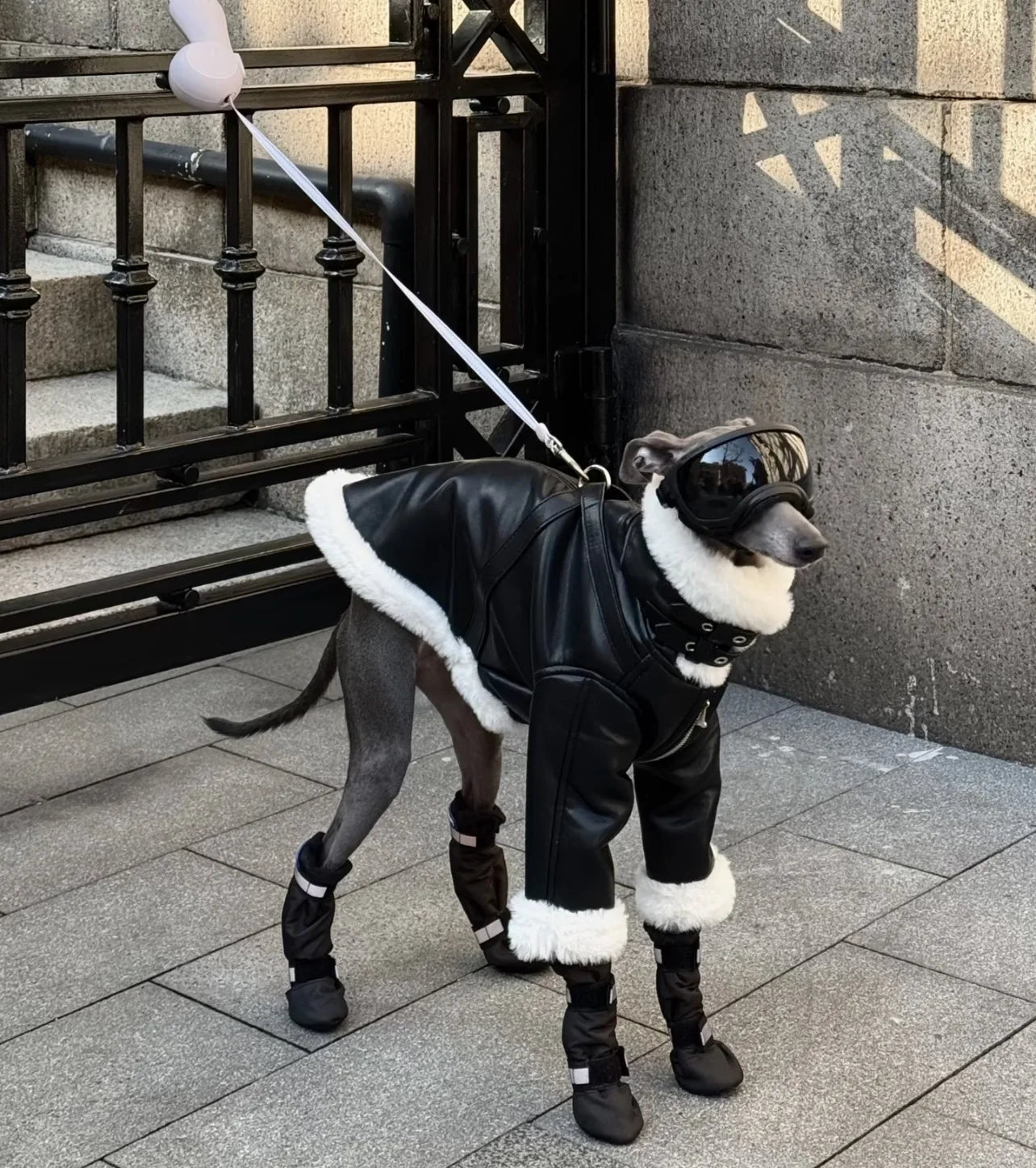 Luxury Leather Whippet Dog Clothes in Winter 4-legged Plush Jacket Windproof Coat Warm Clothing for Italian Greyhound