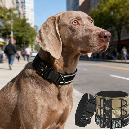 Tactical Dog Collar Adjustable Military Training Nylon Dog Collar with Control Handle and Heavy Metal Buckles for Large Dogs