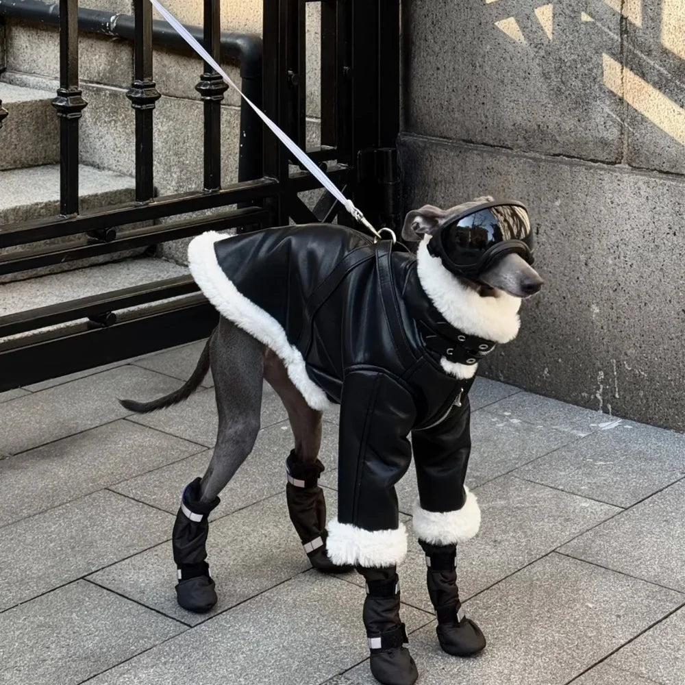 Luxury Leather Whippet Dog Clothes in Winter 4-legged Plush Jacket Windproof Coat Warm Clothing for Italian Greyhound