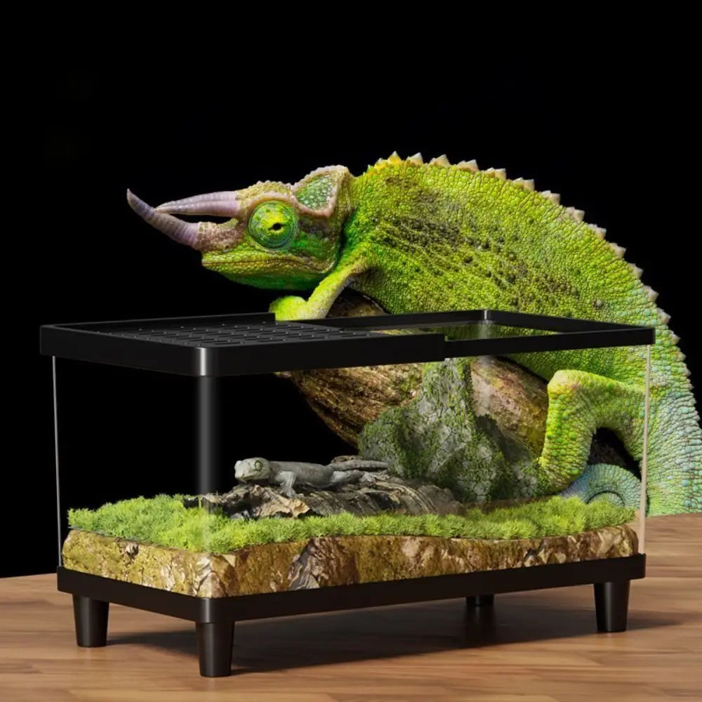 Multifunctional Transparent Reptile Terrarium Visual Breathable Lizard Breeding Box with Cover Reptile Habitat Landscaping