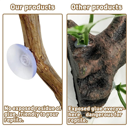 Reptile Branch Unique Bearded Dragon Branch Reptile Decor Wooden Tree Trunk Ornament Habitat Decorations Non-slip Climbing