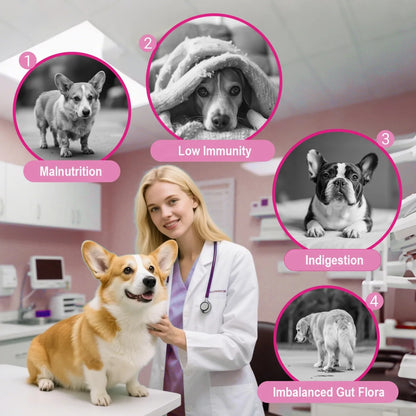 180 Chewable Probiotic Tablets for Dogs & Cats, Pet Health Nutrition Supplement for Gut Flora Balance & Strong Immunity Support