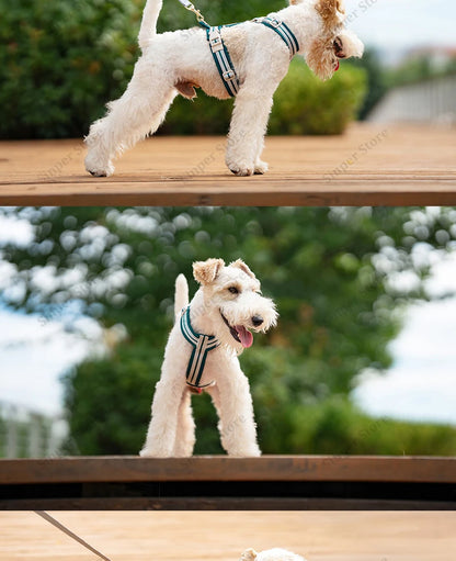 Adjustable Dog Vest Harness Breathable No Pull Harness for Small, Medium Large Dogs Harness for Walking Jogging Easy Step-in