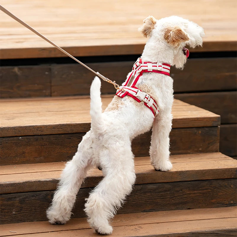 Adjustable Dog Vest Harness Breathable No Pull Harness for Small, Medium Large Dogs Harness for Walking Jogging Easy Step-in