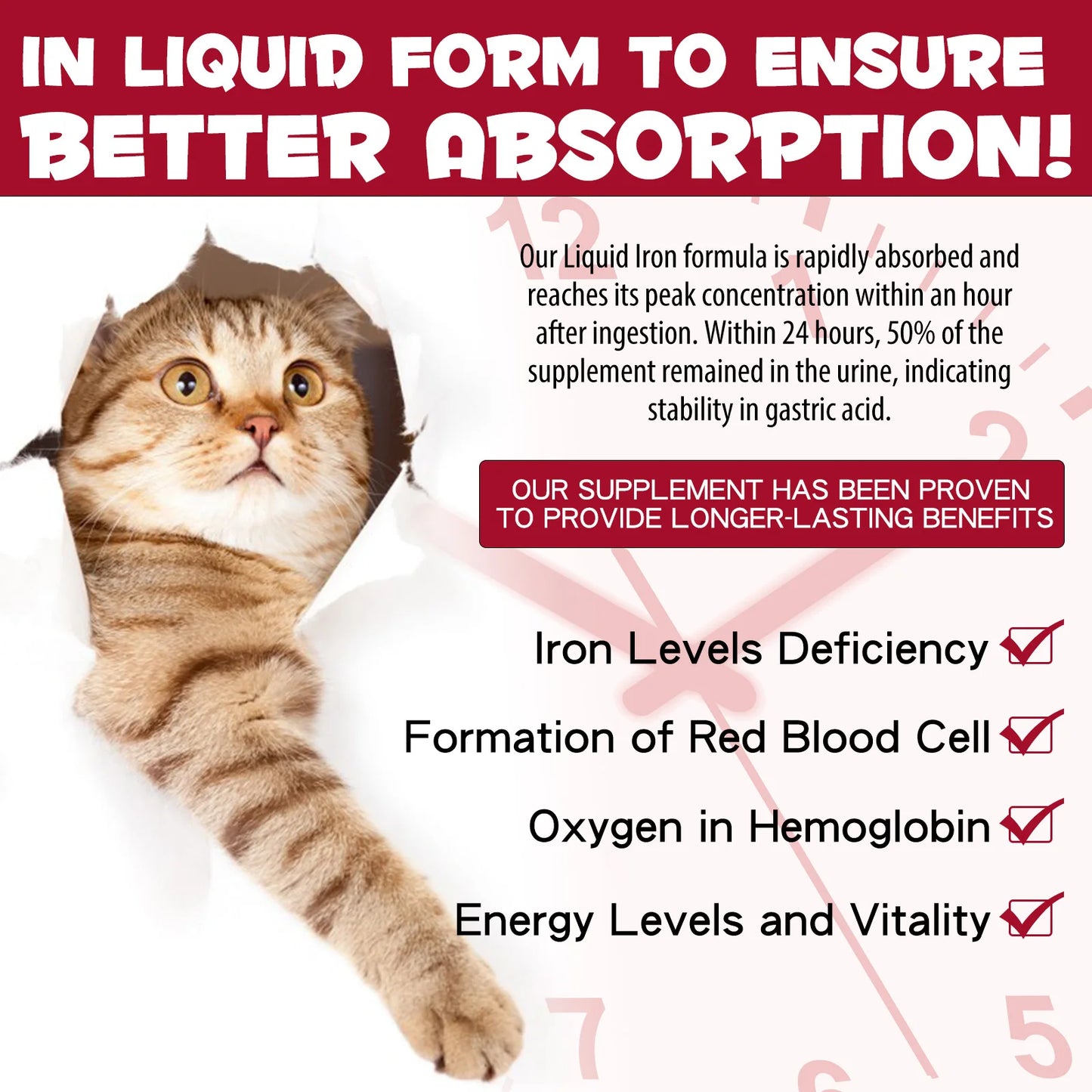 Liquid Iron Caramel Flavor Treatment for Cats Helps with Iron Levels Deficiency Formation of Red Blood Cell Oxygen in Hemoglobin