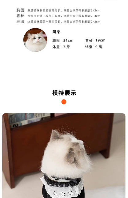 Blue Maid Skirt Kitten Dress Thin Breathable Pet British Short Silver Summer Clothes Cat Dress
