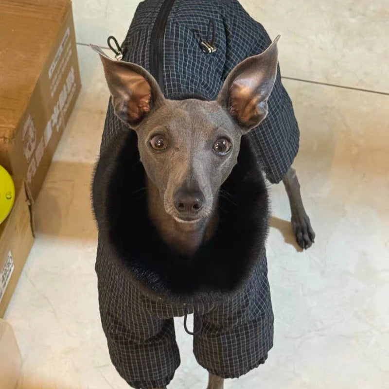 Fashion Down Coating Winter Clothes Warm and Windproof Ecological Cotton Clothes Italy Greyhound Pet Products Dog Onesie Leisure