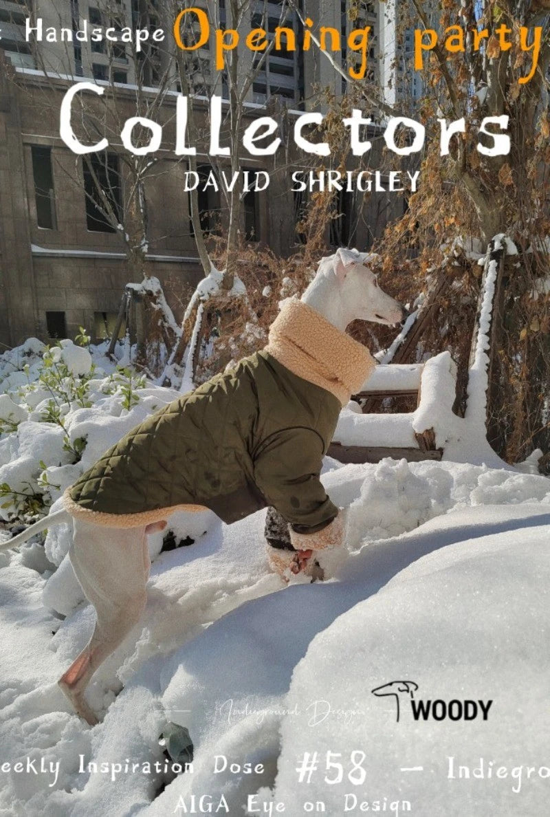 Thickened Lamb Wool Two in One Dog Cotton Coat Windproof Warm Coat High Necked Large Dog Outdoor Trendy Clothing Pet Winter Vest